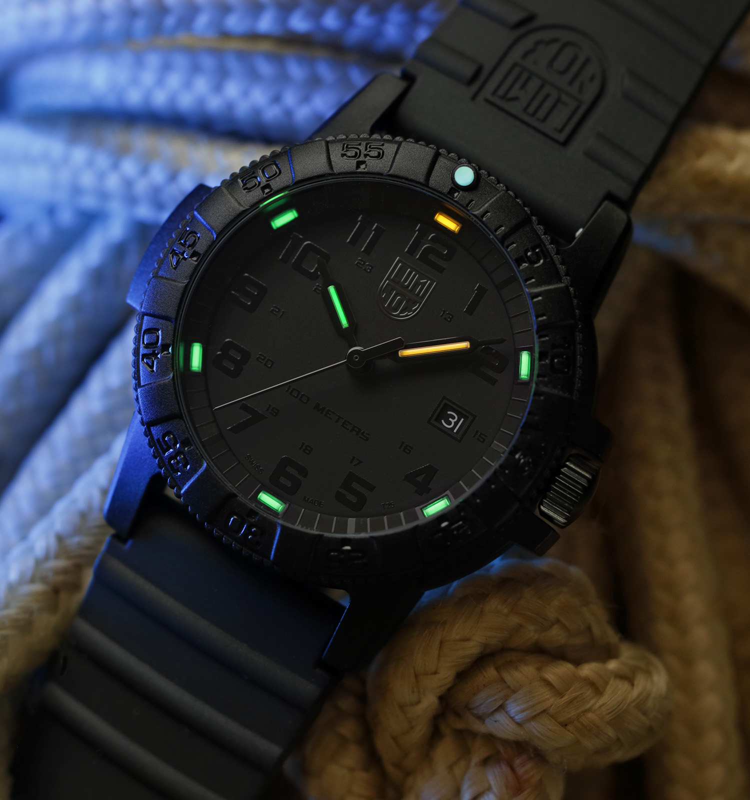 Zegarek męski Luminox Leatherback Sea Turtle Giant 0320