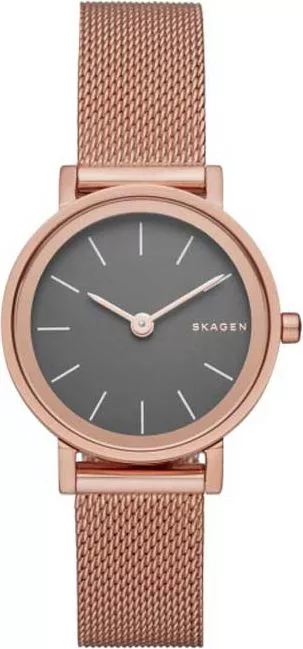 Zegarek damski Skagen Classic SKW2470