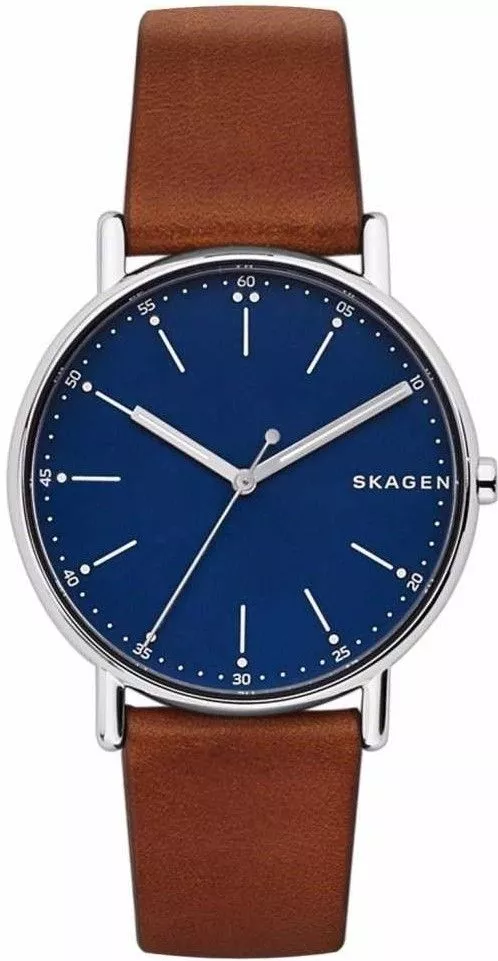 Zegarek męski Skagen Signatur SKW6355