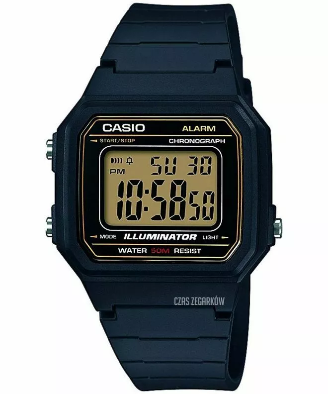 Zegarek Casio VINTAGE Classic W-217H-9AVEF