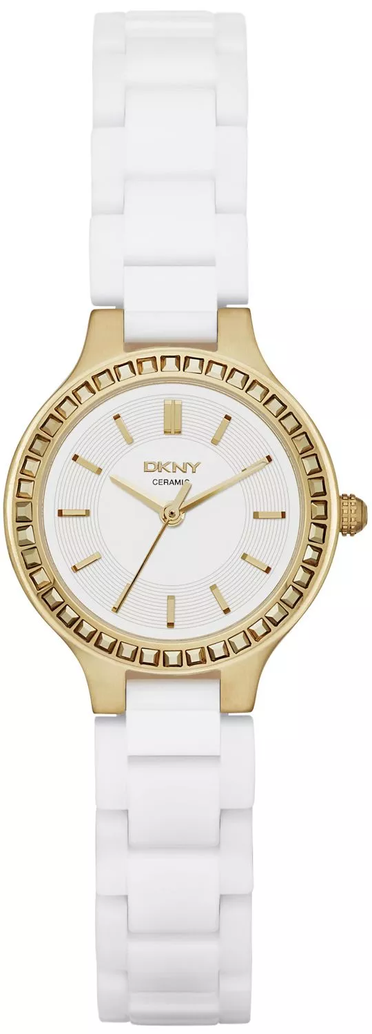 Zegarek damski DKNY Chambers NY2250