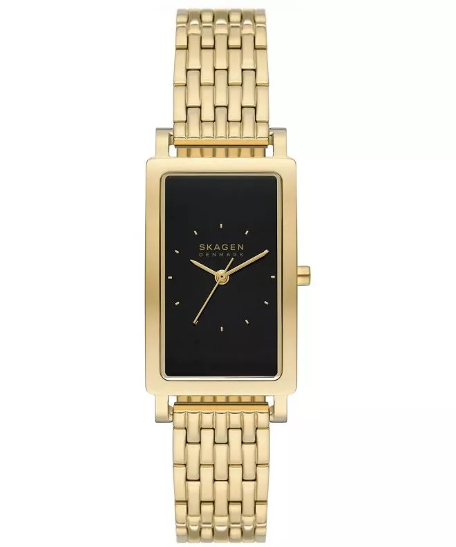Zegarek damski Skagen Hagen SKW3113