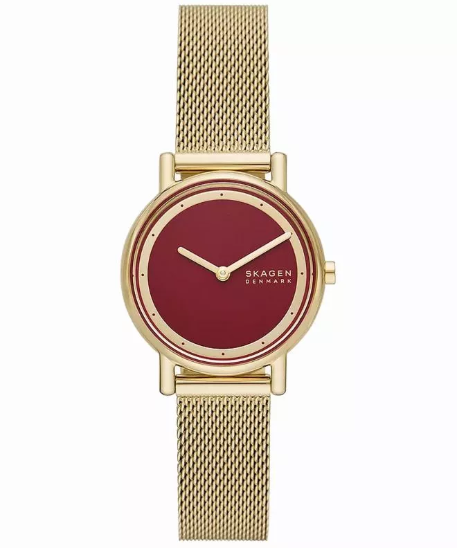 Zegarek damski Skagen Signatur Lille SKW3117