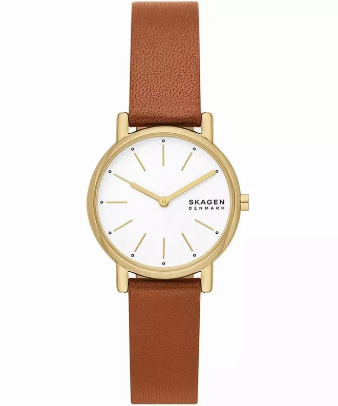 Zegarek damski Skagen Signatur Lille SKW3121