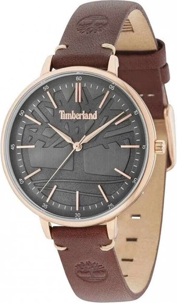 Zegarek męski Timberland Falmouth TBL.15261MSR-61