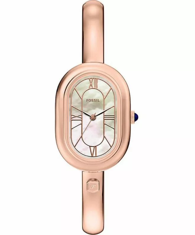 Zegarek Fossil Sloan ES5472