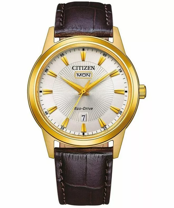 Zegarek Męski Citizen Leather Eco-Drive AW0102-13AC (AW0102-13AE)