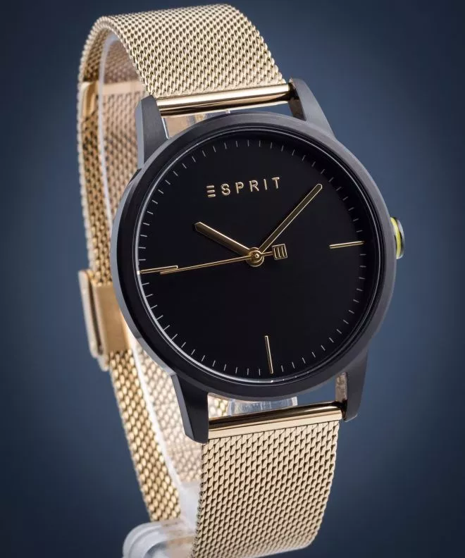 Zegarek męski Esprit Classy ES1G109M0105