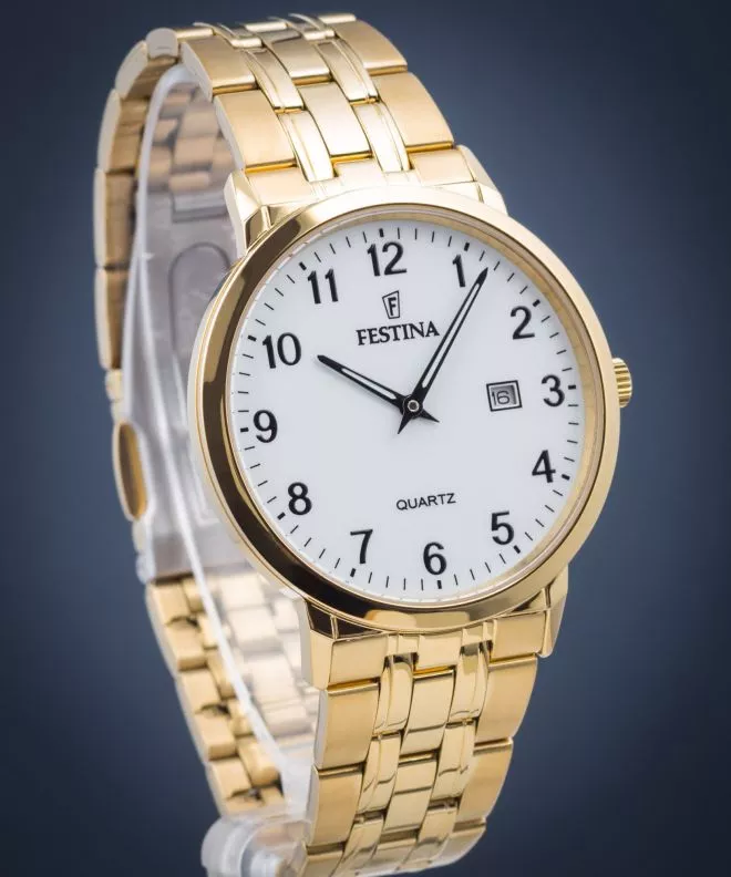 Zegarek męski Festina Classic F20513/1