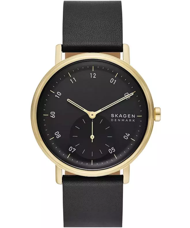 Zegarek męski Skagen Kuppel SKW6896