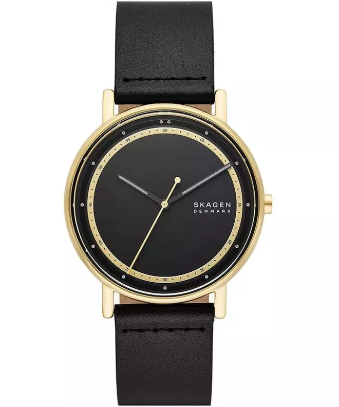 Zegarek męski Skagen Signatur SKW6897