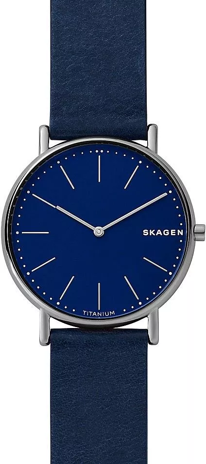 Zegarek męski Skagen Signatur Slim Titanium SKW6481