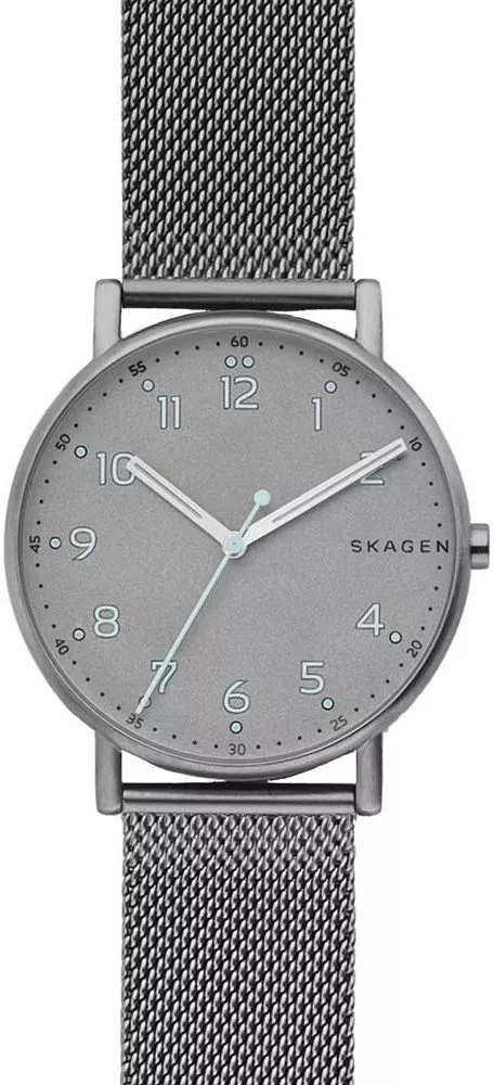 Zegarek Męski Skagen Signatur Titanium SKW6354
