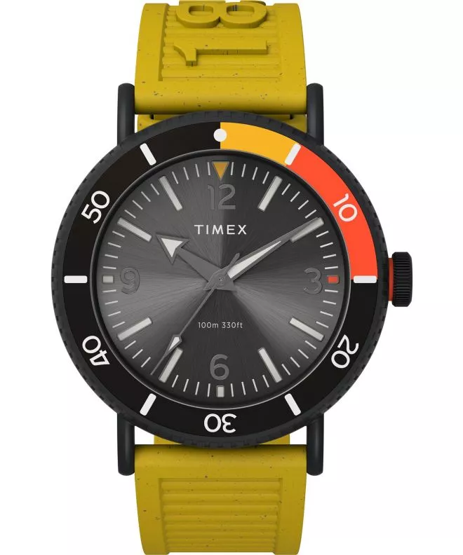 Zegarek męski Timex Standard Diver TW2V71600