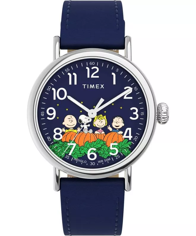 Zegarek męski Timex Standard x TW2W72700