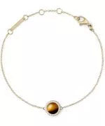 Bransoletka Daniel Wellington Audrey Tiger Eye Gold