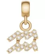 Zawieszka Daniel Wellington Charm Gold Aquarius