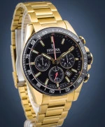 Zegarek męski Festina Timeless Chronograph