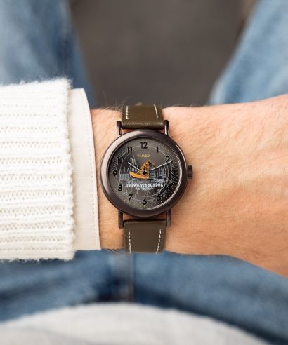 Zegarek Timex Harry Potter X Weekender Sorting Hat 37mm Leather Strap