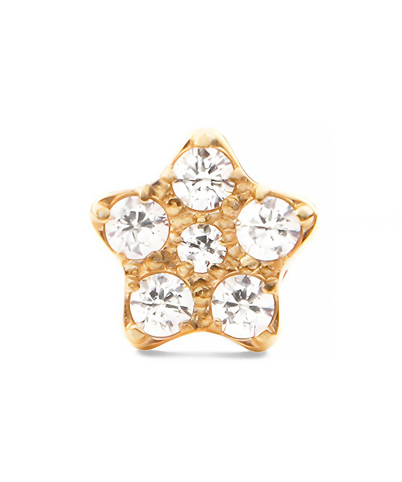 Kolczyk Daniel Wellington Crystal Star Stud Gold