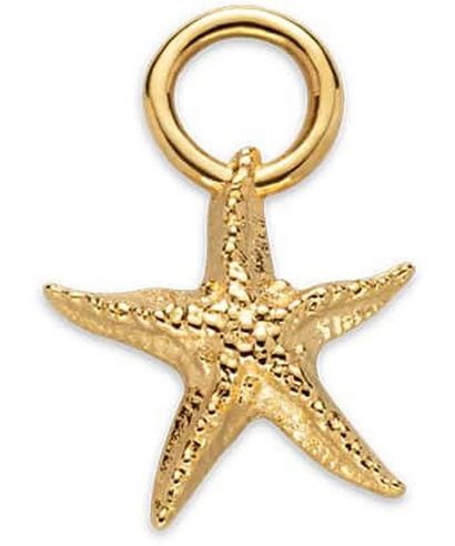 Naszyjnik Paul Hewitt Set Starfish Charm and Necklace Gold