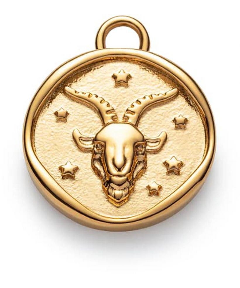 Zawieszka Paul Hewitt Capricorn