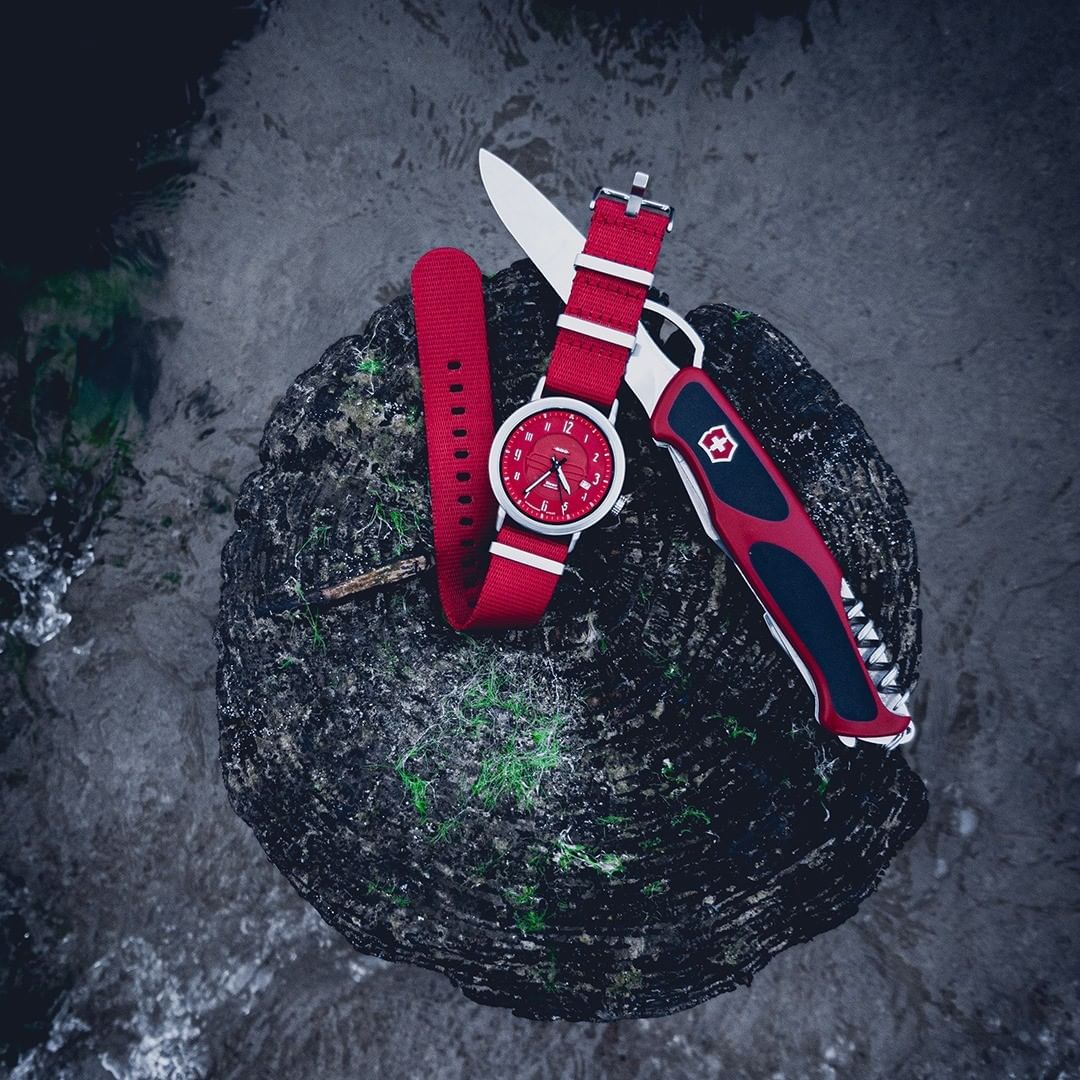 Zegarek męski Victorinox Alliance SET