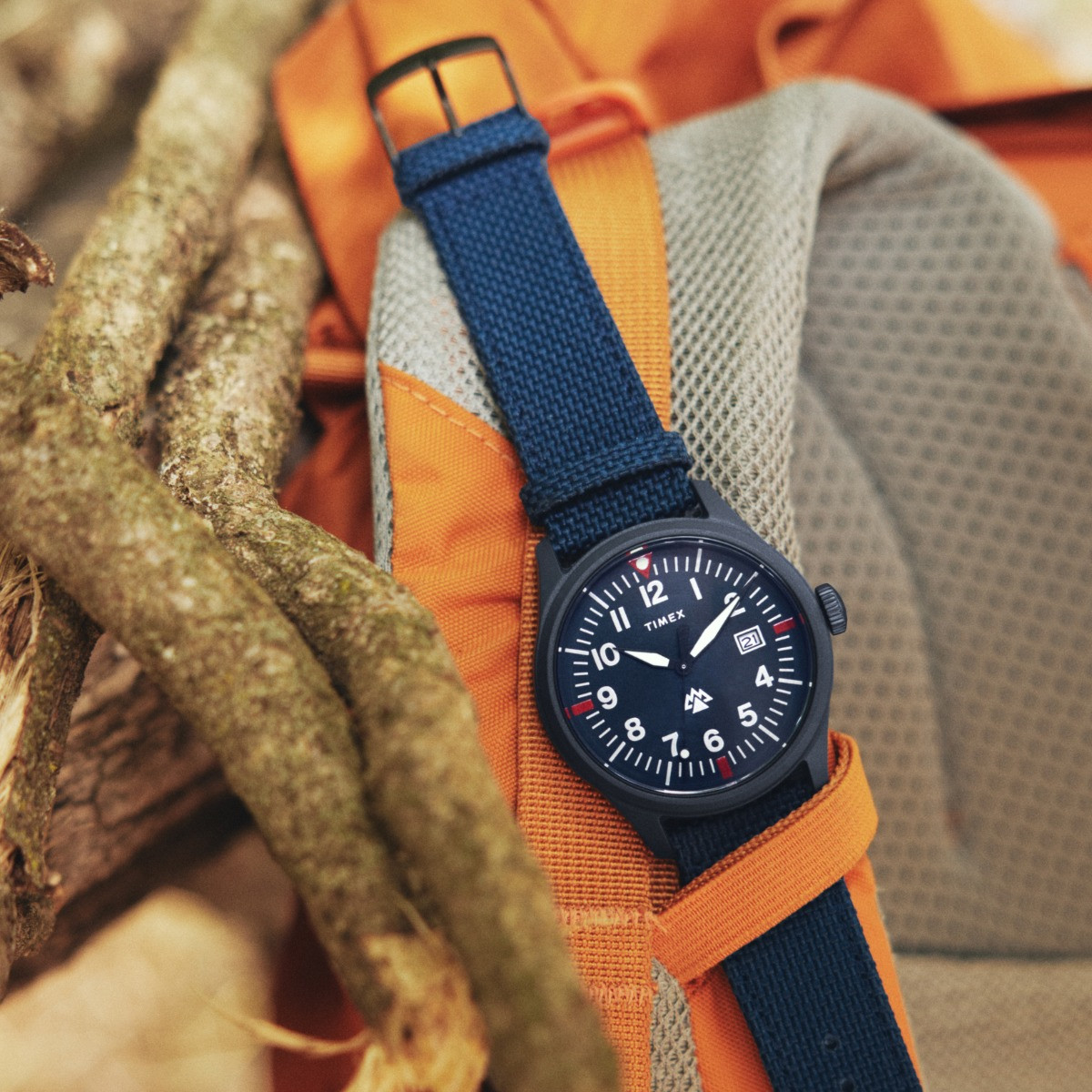 Zegarek męski Timex Expedition North Traprock