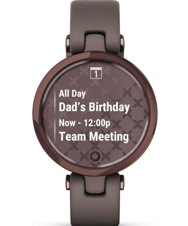 Smartwatch Garmin Lily Classic