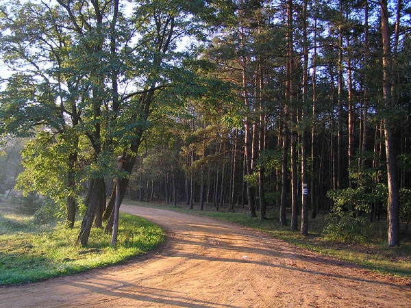 Kampinoski Park Narodowy