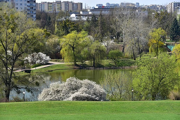Park Moczydło