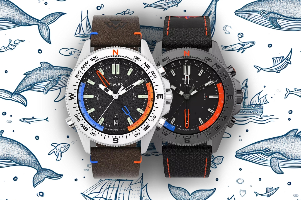 Timex TW2V03900