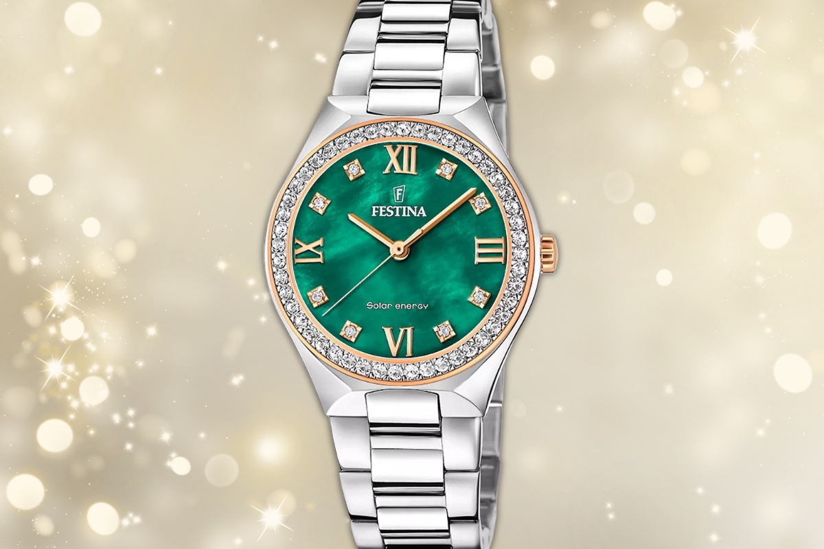Festina F20658/3