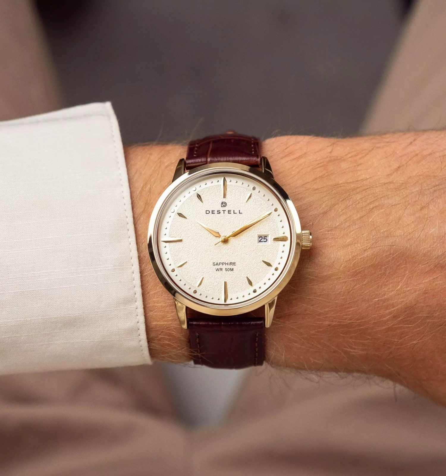 Zegarek męski DESTELL Pictor Silver Brown Leather Sapphire