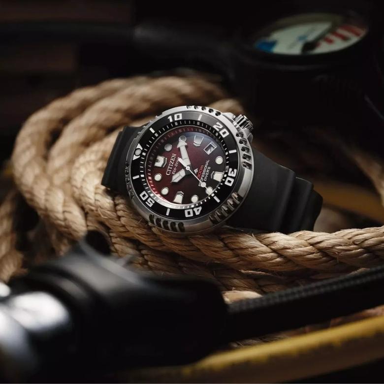 Citizen BN1024-01Z - Kolekcja Promaster