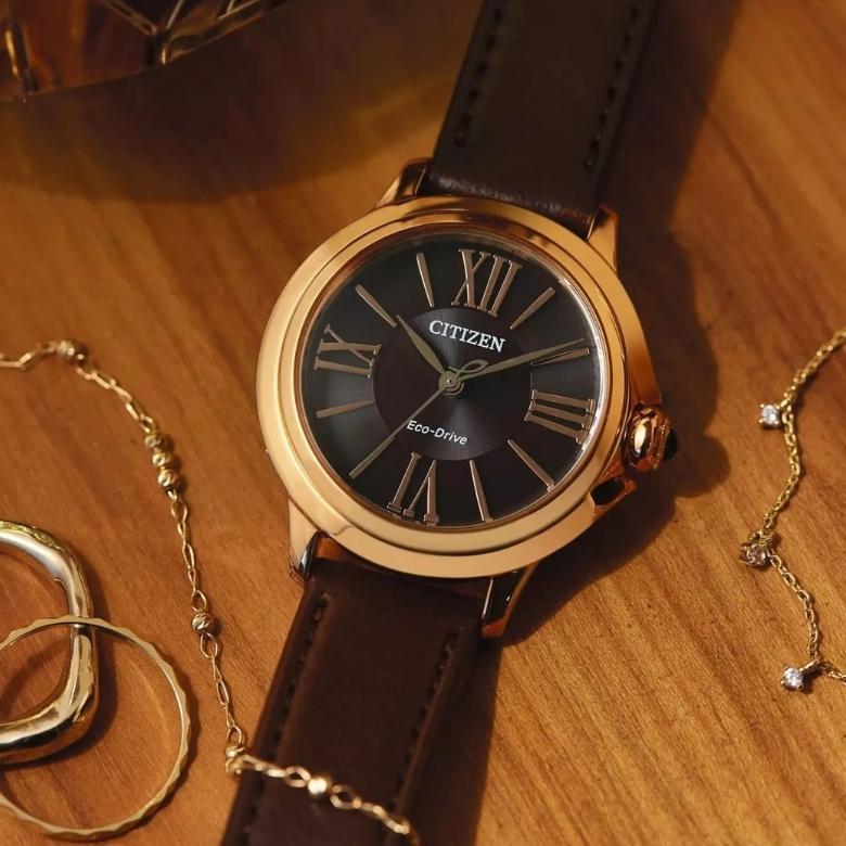 Citizen EM1163-09X - Zabezpieczenie tarczy