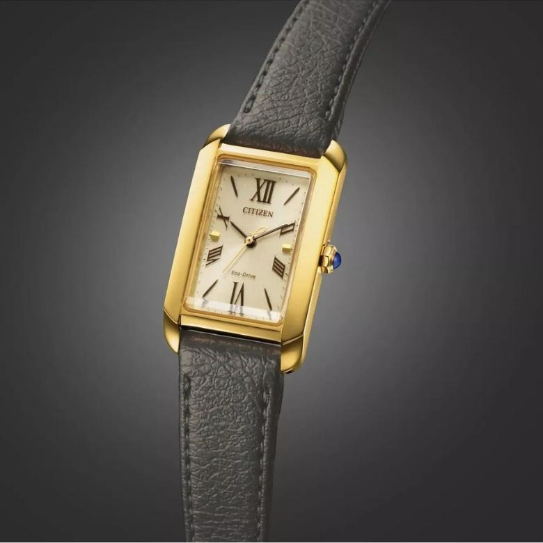 Citizen EW5622-09P - Zabezpieczenie tarczy