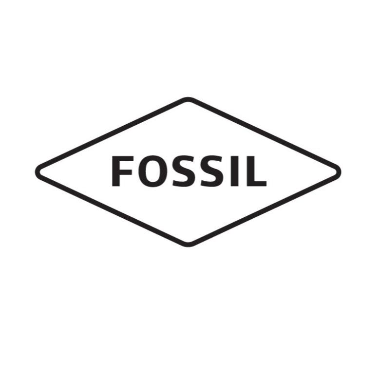 Fossil FS6054 - Marka