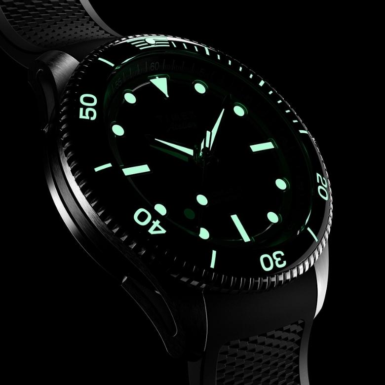 Timex TW2Y72600 - Dodatkowe elementy