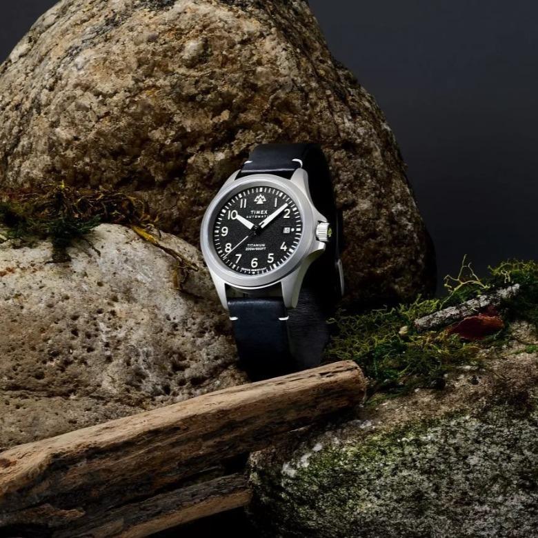 Timex TW2V54000 - Datownik dni miesiąca