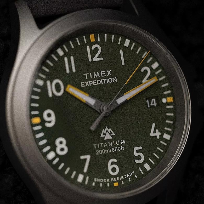 Timex TW2W78100 - Datownik dni miesiąca