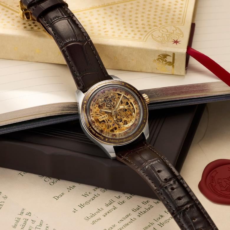 Timex TW2Y75500 - Dodatkowe elementy