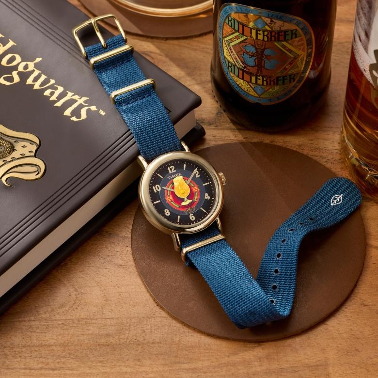 Timex TW2Y76100 - Dodatkowe elementy