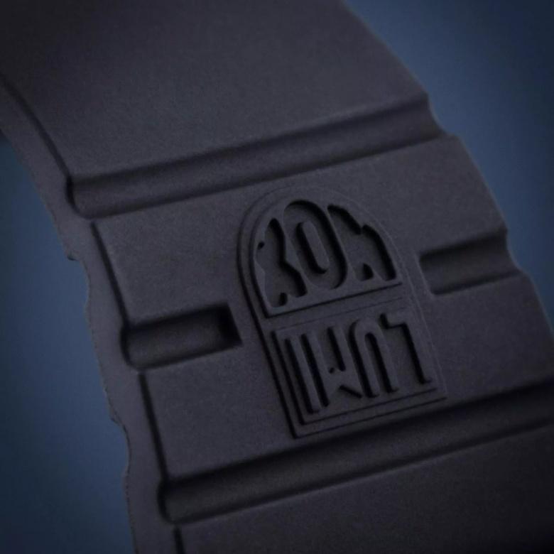 Zegarek Luminox XS.3001.EVO.OR - Pasek 