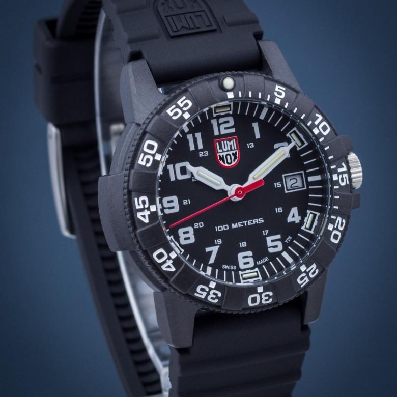 Zegarek Luminox XS.0301.L - Tarcza